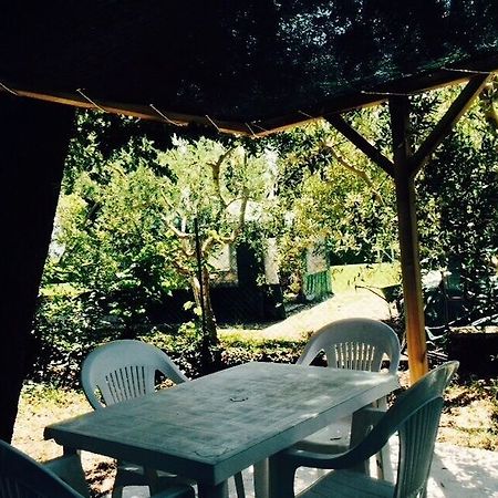 Agriturismo La Mora Assisi Dış mekan fotoğraf