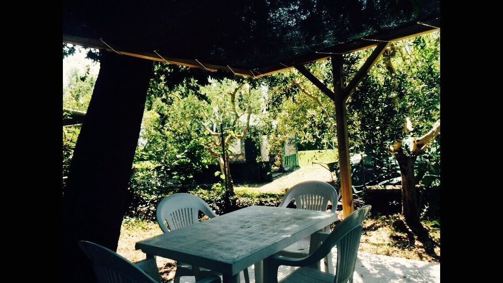 Agriturismo La Mora Assisi Dış mekan fotoğraf
