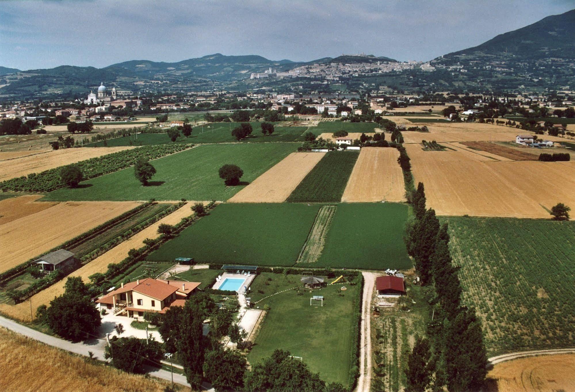 Agriturismo La Mora Assisi Dış mekan fotoğraf